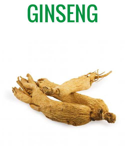 GINSENG