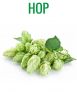 HOP