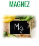 Magnez